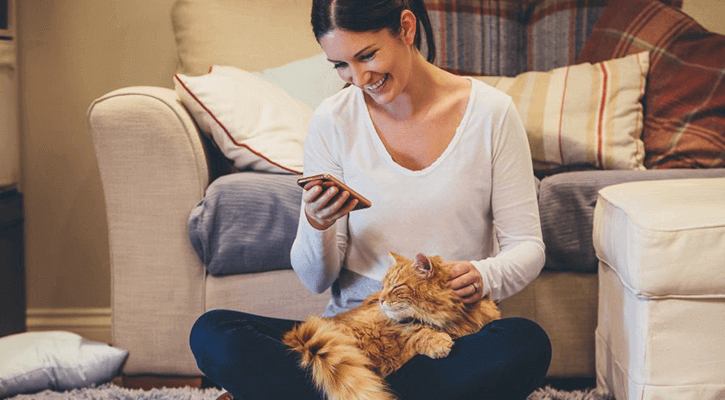 A woman sitting on the floor in front of a white couch with her obese cat on her lap, looking up pet nutrition services