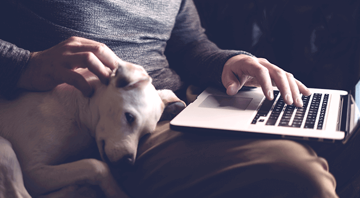 A dog lying with his head on his owners lap on a couch